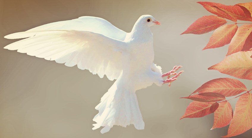 1206 Blog_Enlightenment Series.jpg