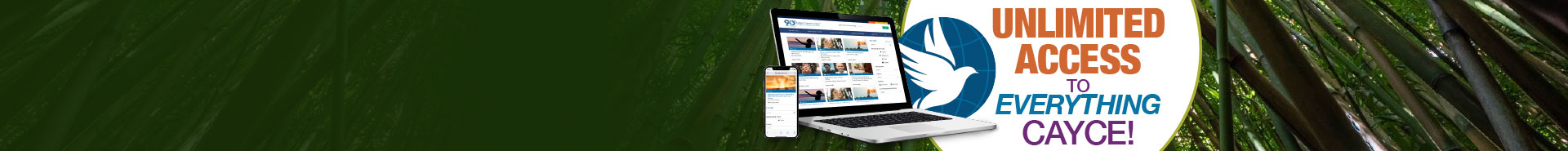 home page slider circle devices
